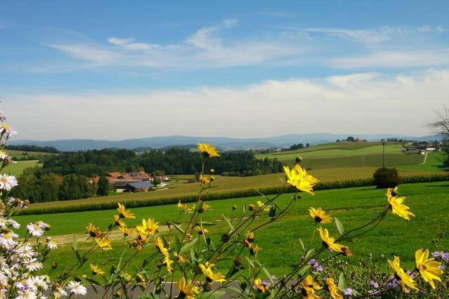 Ferienwohnung Im Bayerischen Wald Tittling Luaran gambar